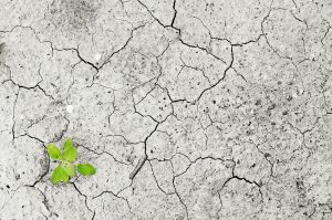 climate-change-1325882_1280